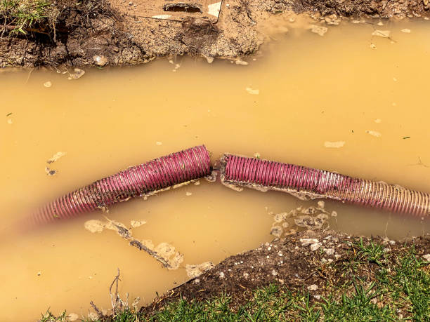 Water damage restoration insurance claims in NM